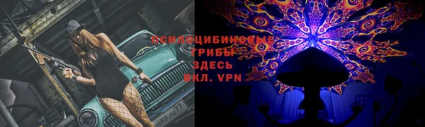 а пвп мука Елабуга