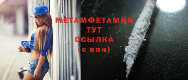 прущие грибы Няндома