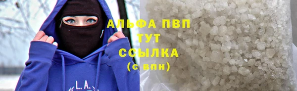 прущие грибы Няндома