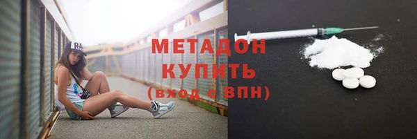 прущие грибы Няндома