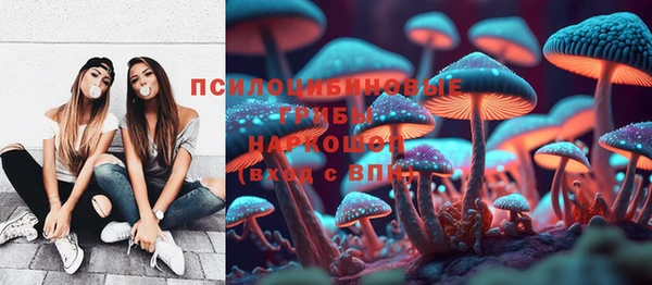 а пвп мука Елабуга