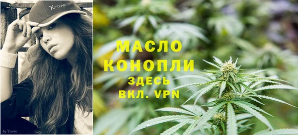 крисы Дмитров