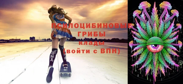 МДПВ Елизово