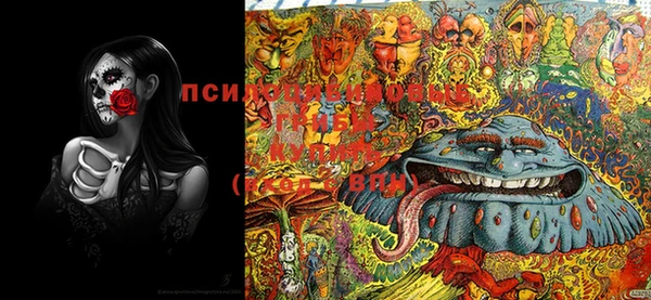 крисы Дмитров