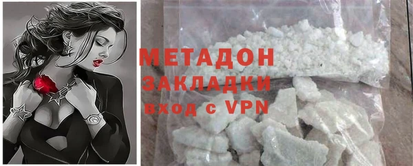 прущие грибы Няндома