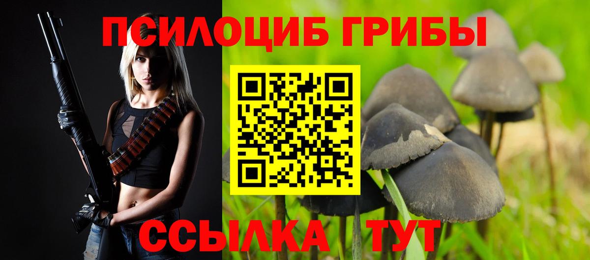 Галлюциногенные грибы Psilocybine cubensis  Вход с VPN  сколько стоит  Сегежа 